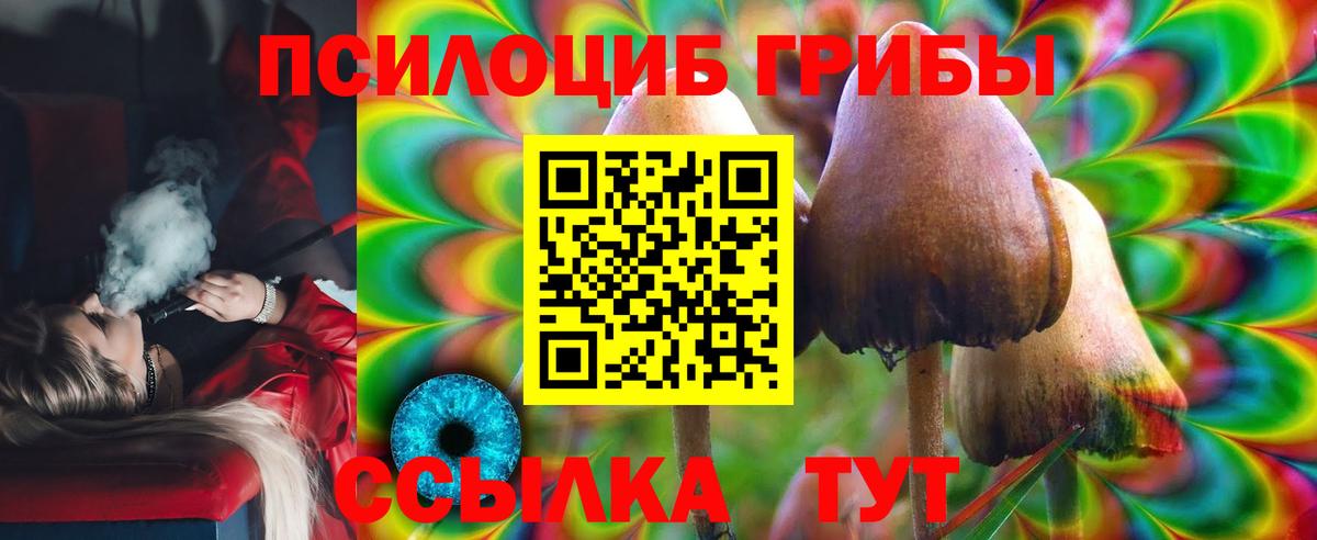 Галлюциногенные грибы Cubensis  Вход с VPN  Сокол 