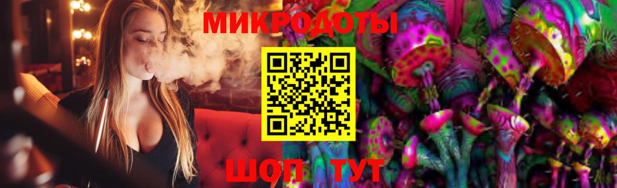 Галлюциногенные грибы Psilocybine cubensis Сокол